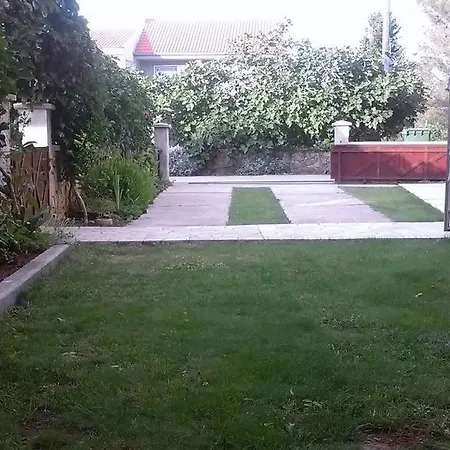 Lavanda